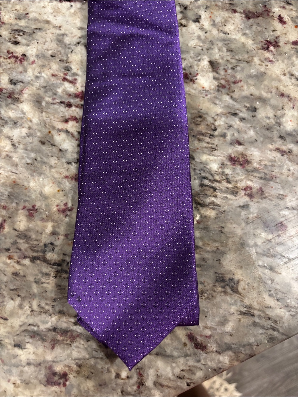 NWT Van Heusen Purple Microdot Silk Tie